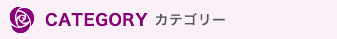 CATEGORY ƥ꡼