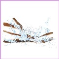 vxWFIC A}ICyANAeBbNEEbhz100ml